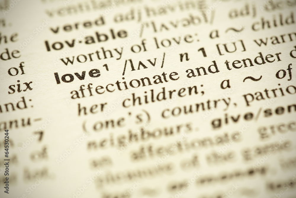 Dictionary definition of the word Dictionary definition of the word