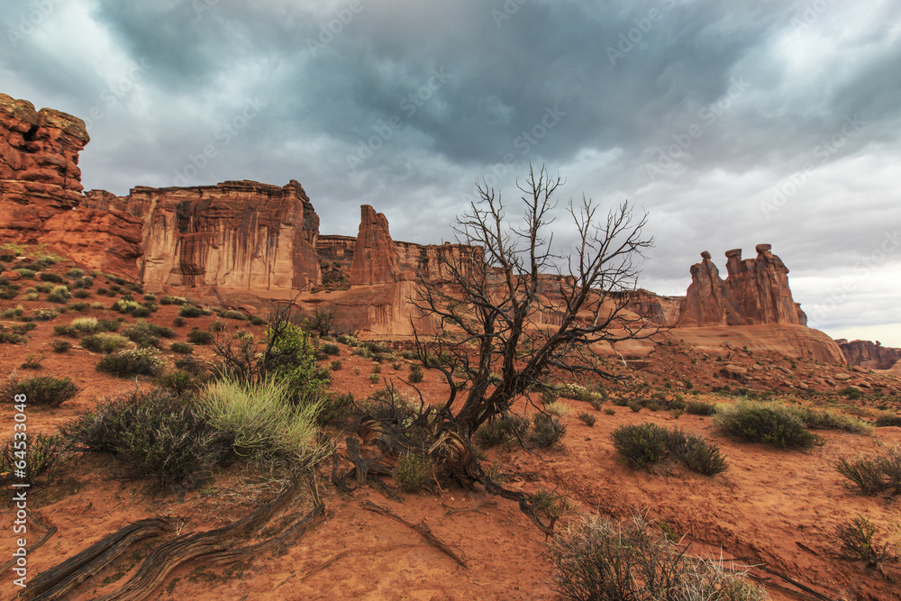 Storm, rain and flash flood in American desert Storm, rain and flash flood in American desert
