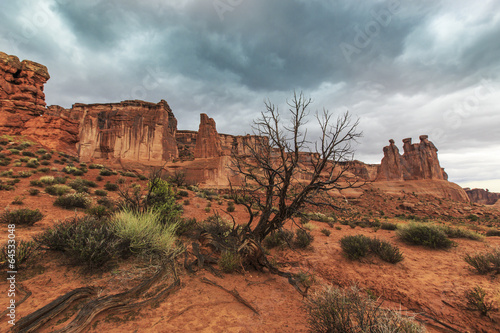 Storm, rain and flash flood in American desert