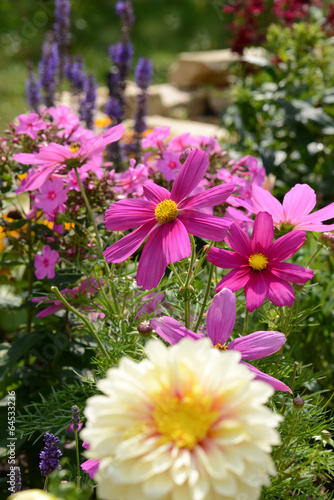 Fototapeta Naklejka Na Ścianę i Meble -  Blumen 259