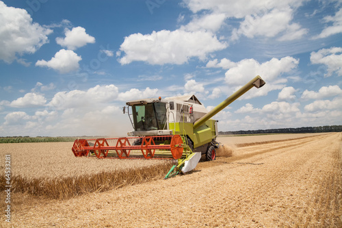 Combine working on a wheat field