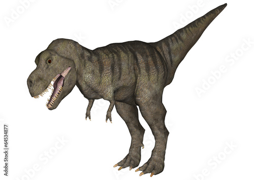 Tyrannosaurus Rex