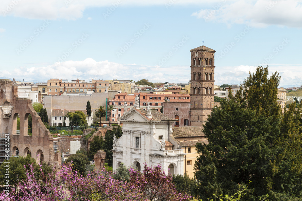 Rome -  View from the roman forum on the historical city