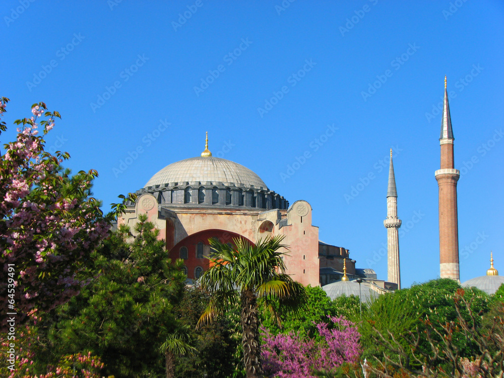 Hagia Sophia behind the trees