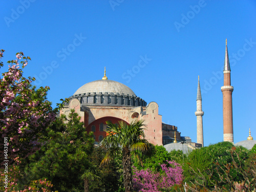 Hagia Sophia behind the trees