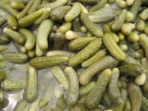Pepinillos en vinagre. Pickles of cucumbers.