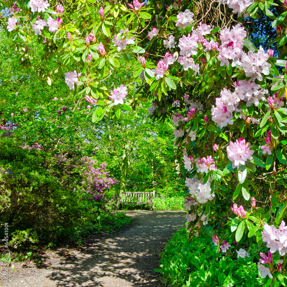 Landscape gardening