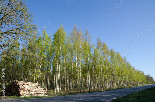 Logpile at roadside photo