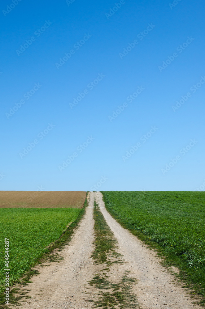 Country road to the fields Country road to the fields