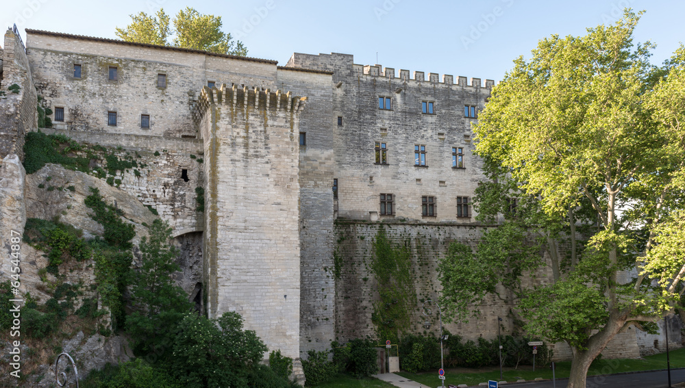 Obraz premium Palais des papes