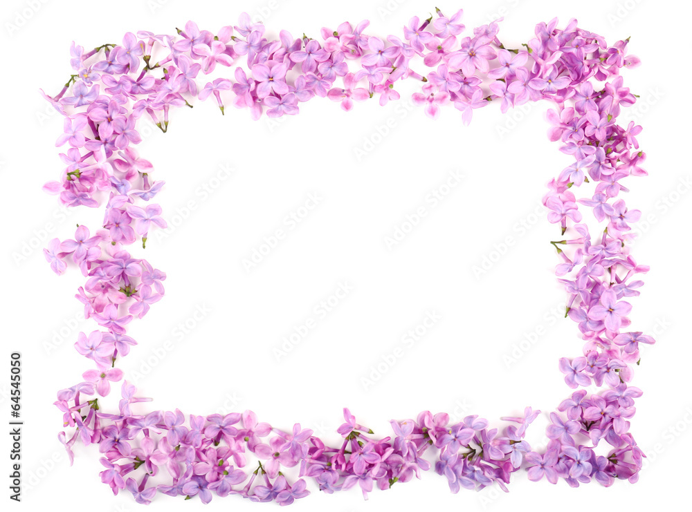 Beautiful lilac flowers isolated on white Beautiful lilac flowers isolated on white