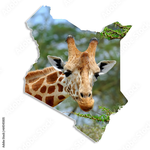Kenya map with giraffe