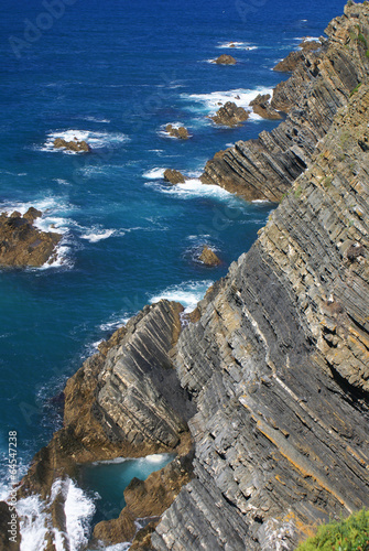 Atlantic ocean coast cliff at Sardao cape (Cabo Sardao), Alentej photo