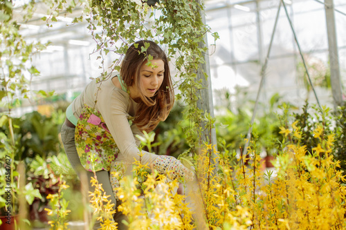 Young woman in flower garden