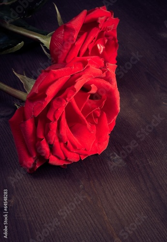 red roses on old wood, old style,background