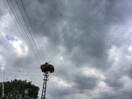 Stork's nest