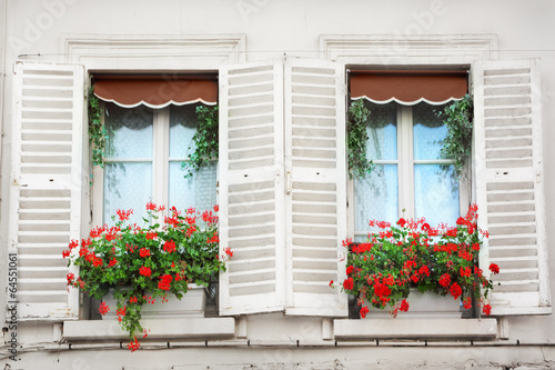 Windows in Paris