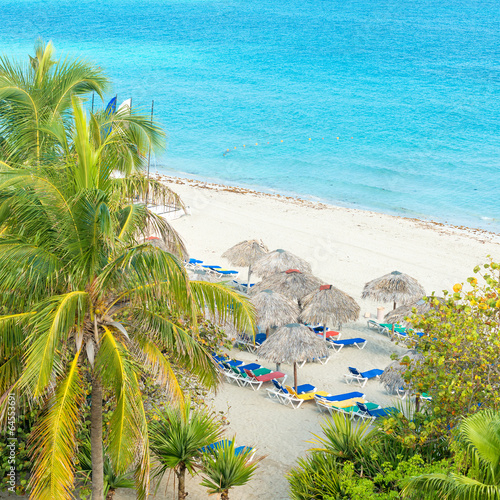 Photography Coconut palms and thatched umbrellas in a cuban beach