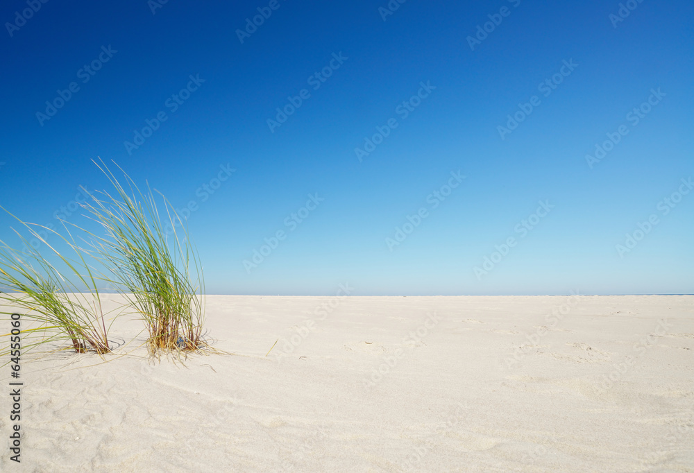 Baltic sea.