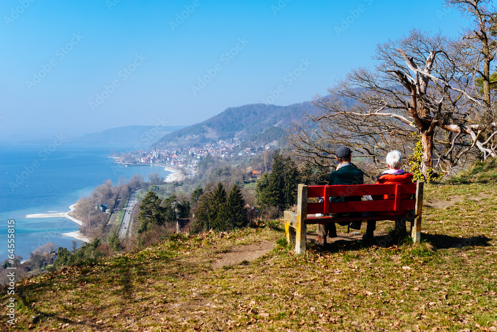 Fototapeta premium Ausblick auf den Bodensee