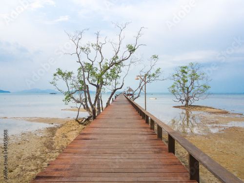 wooden bridge into the sea © Joop Ang