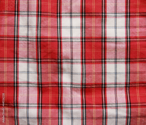 Texture of a red checkered picnic blanket.