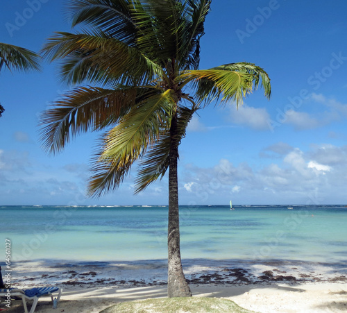 Fototapeta Naklejka Na Ścianę i Meble -  plage et lagon de république dominicaine