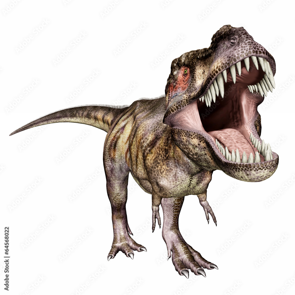 Tyrannosaurus Rex Images: Rex Bilder Hochauflösend – Netzdot