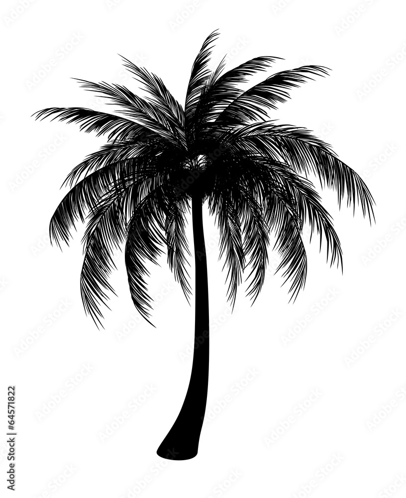 Naklejka premium Silhouette of palm