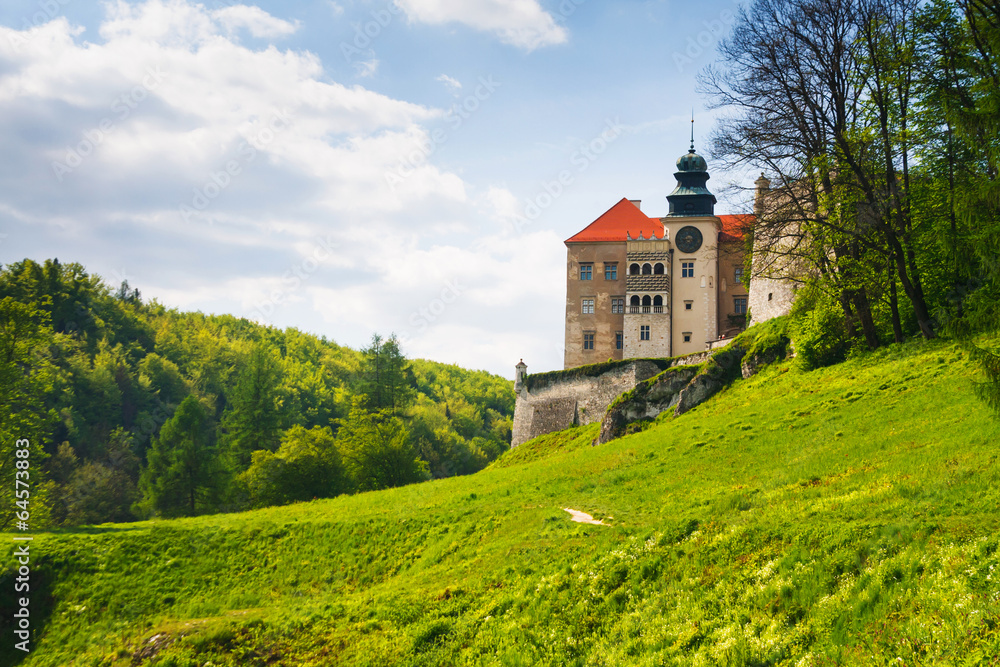 Castle Pieskowa Skala in National Ojcow Park, Poland