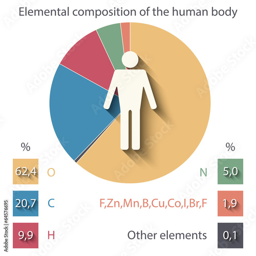 elemental composition of the human body