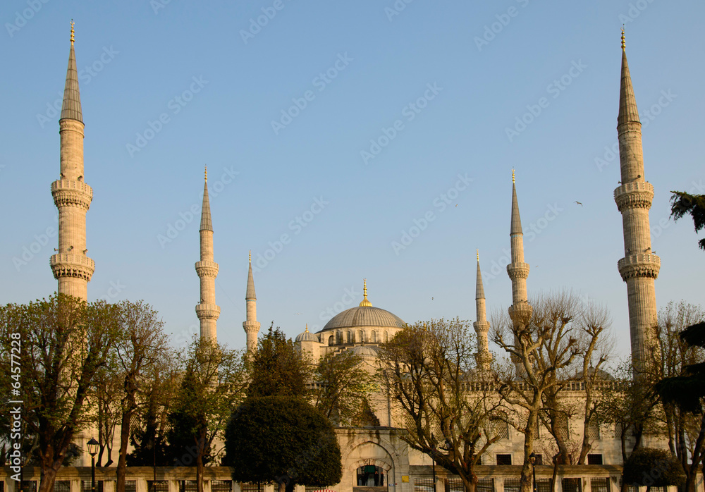La mosquée bleue à Istanboul
