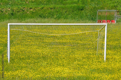 Campo di calcio sommerso dai fiori - sport all'aperto photo
