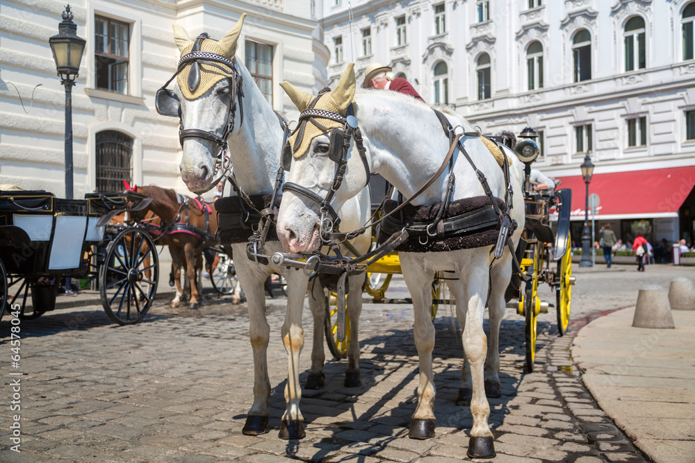 Fototapeta premium Traditional horse carriage in Vienna, Austria