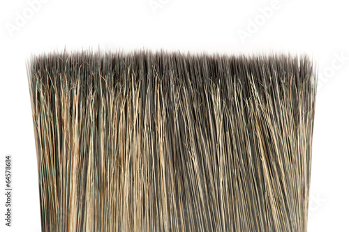 Bristle of brush