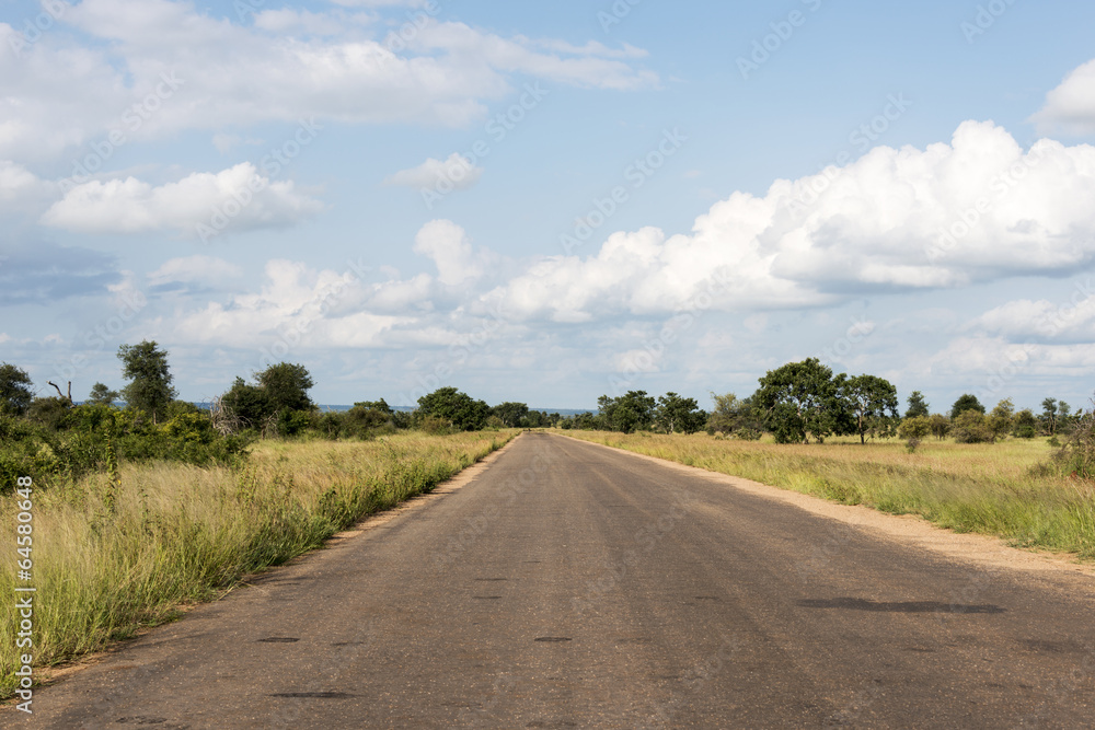 Fototapeta premium road to the future