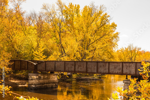 Railroad Bridge in Autumn Trees