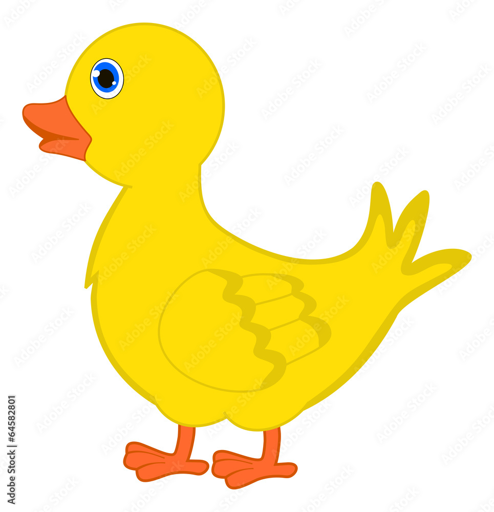 a single duckling a single duckling