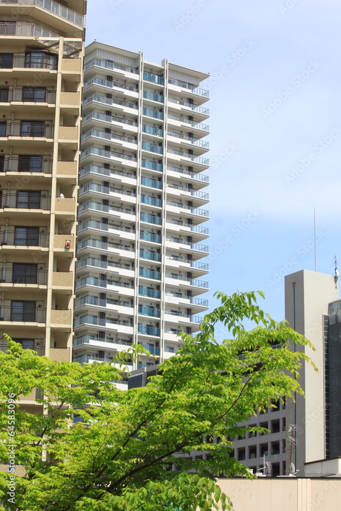 新緑越しの高層マンション 新緑越しの高層マンション