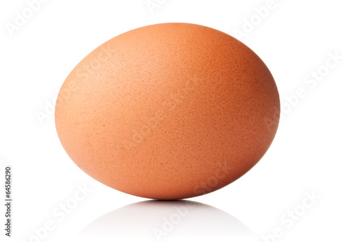 Brown chicken egg isolated on white background