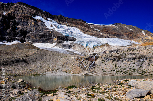 Iceline trail in Yoho National Park along with glaciers, British photo