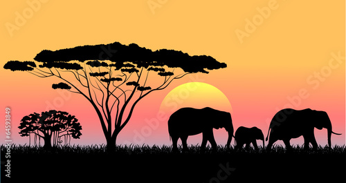 African savanna an evening landscape © dervish15