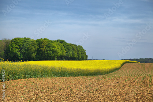 Rural landscape in Wallonia, Belgium photo