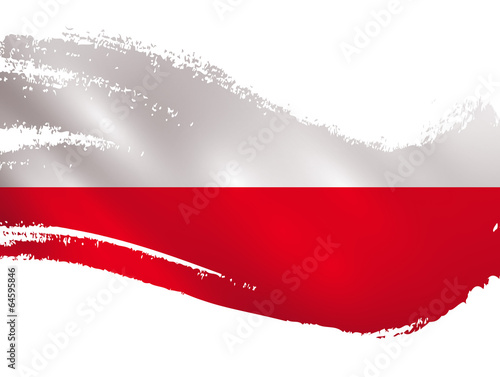 Poland flag - paint daubs vector