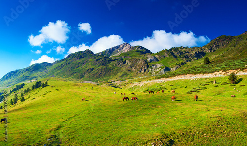 Slika na platnu Pyrenees mountains