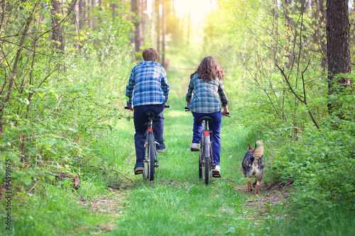 Young couple ride bicycles in the forest back to camera. Dog wal