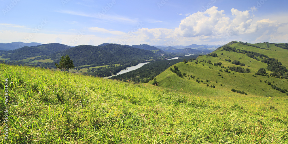 Beautiful summer panorama of the Altai mountains and the river K