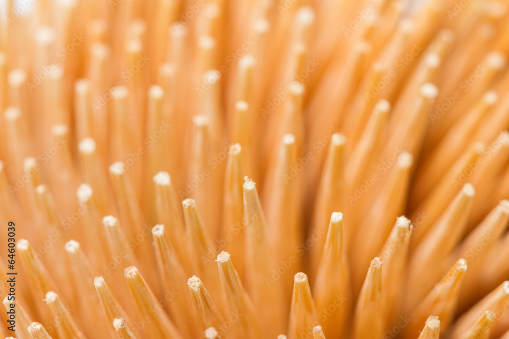 Toothpicks Toothpicks
