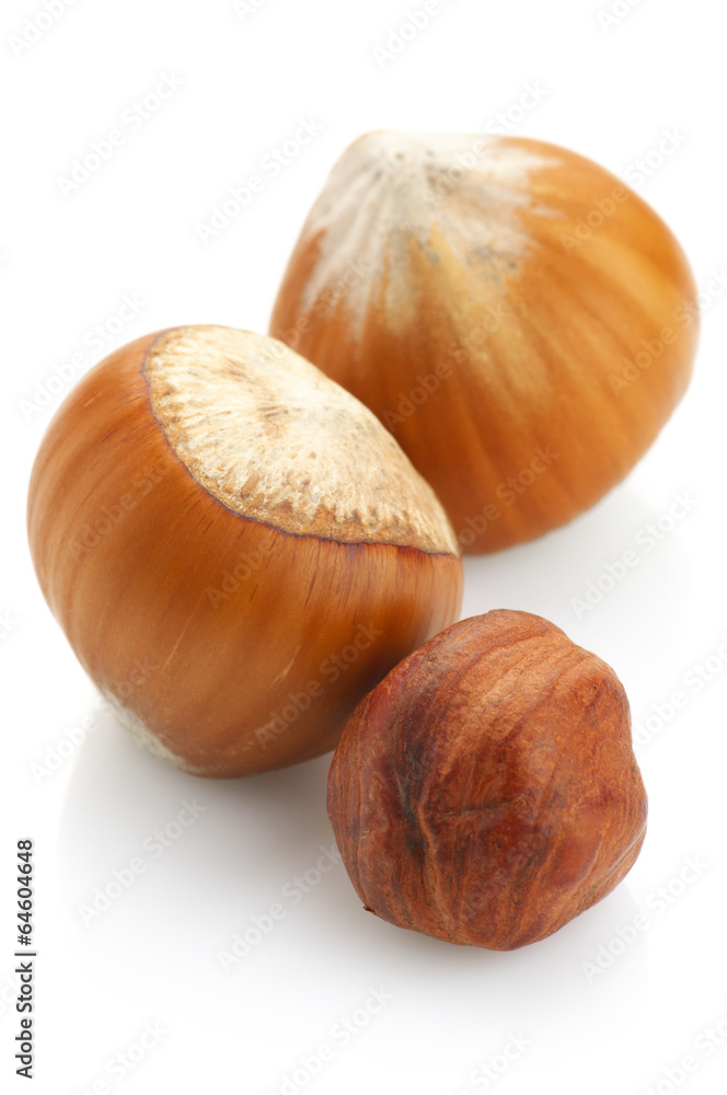 Hazelnuts on white Hazelnuts on white