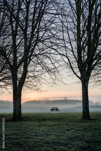 Single bench and table in park early morning